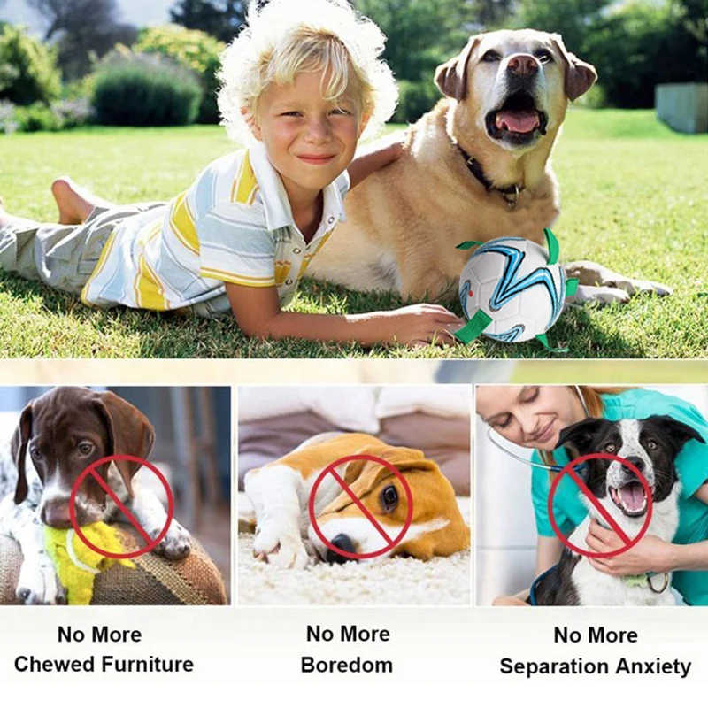 

Pet Soccer Ball with Grab Tabs Dog Toys Interactive Durable Dog Tug Balls for Dogs Pet Bite Chew Ball Outdoor Pet Football Toys