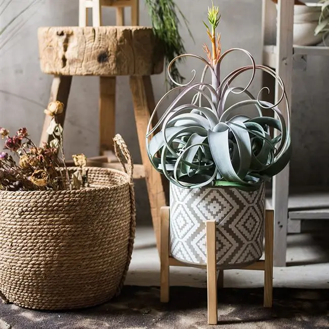 Искусственные цветы материалы для расположения цветов искусственный воздух