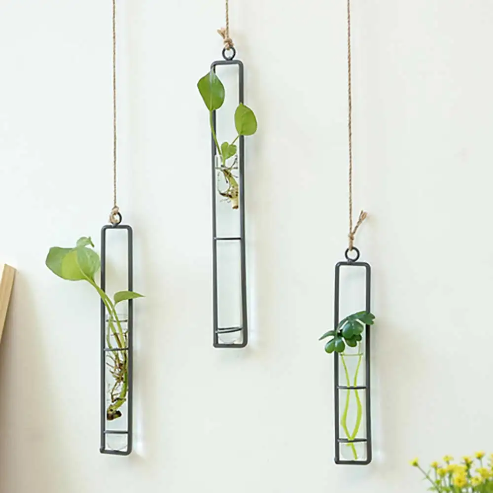 

Wrought Iron Glass Vase Hemp Rope Pendant Living Room Wall Hanging Hydroponic Green Dill Plant Container Hanging Wall Decoration