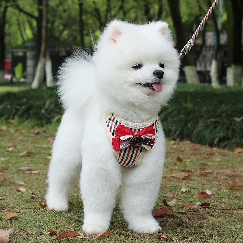 

Pet Chest Strap Striped Bow Tie Breathable Wearable Adjustable Dog Leash Small And Medium-sized Dog Rope Pet Outing Products