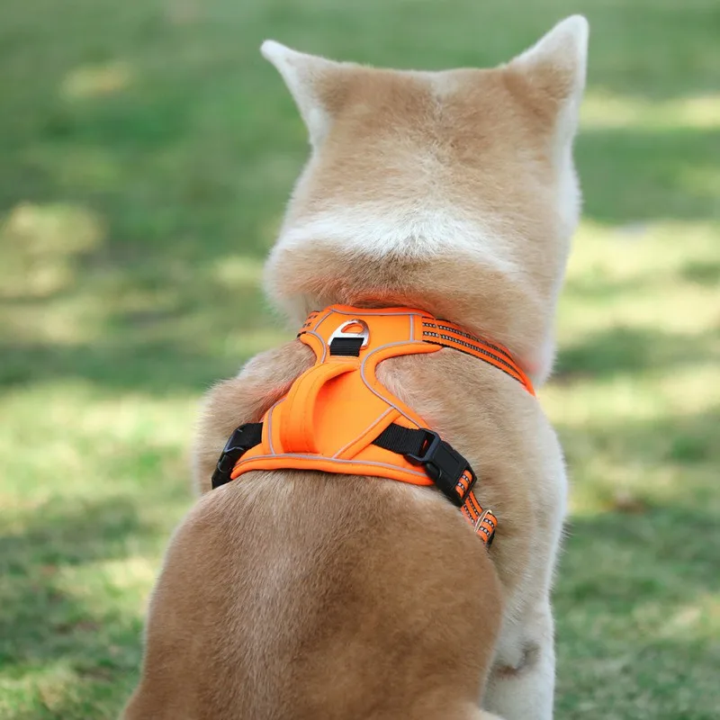 

-Large Dogs Explosion-proof Vest Harness Nylon Padded Adjustable Safety Collar Outdoor Training Walking Belt For Large Dogs