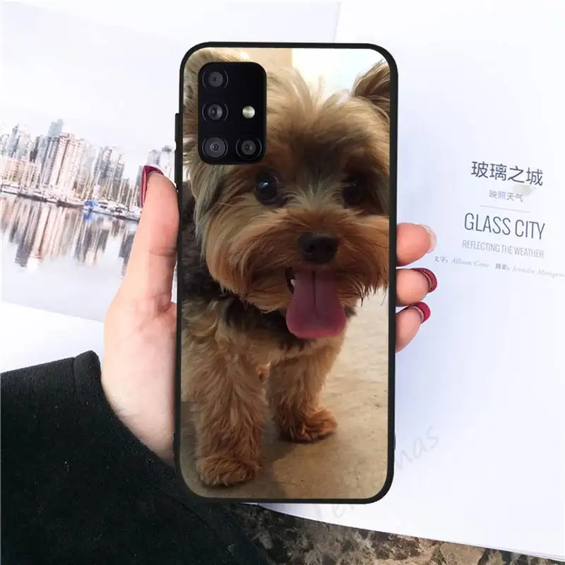 

Yorkshire Terrier dog Phone Case for samsung galaxy s21 s20 fe s10 a51 a52 a71 a50 a12 a72 a21s a70 note 20 10 ultra plus funda
