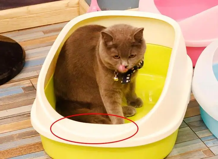 Туалет для домашнего животного собаки наполнитель кошачьего туалета коробка