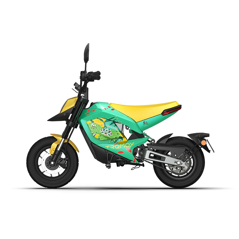 

GY Electric Car Motorcycle High-Speed Intelligent Lithium Battery Lightweight High-Power Mileage Motorcycle