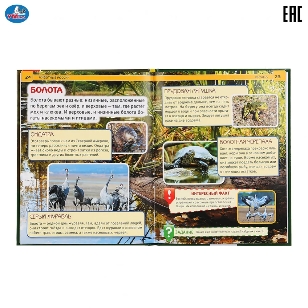 Энциклопедия Умка с развивающими заданиями &quotЖивотные России&quot твердый переплет бумага мелованная формат