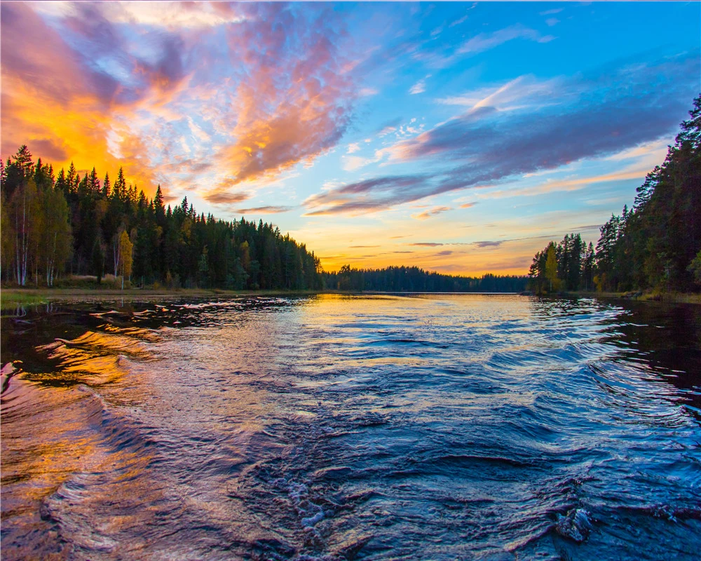 

3d Modern Wallpaper Mural 3d Wallpaper Beautiful Sunset Forest River Water Scenery Living Room Bedroom Background Wall Wallpaper
