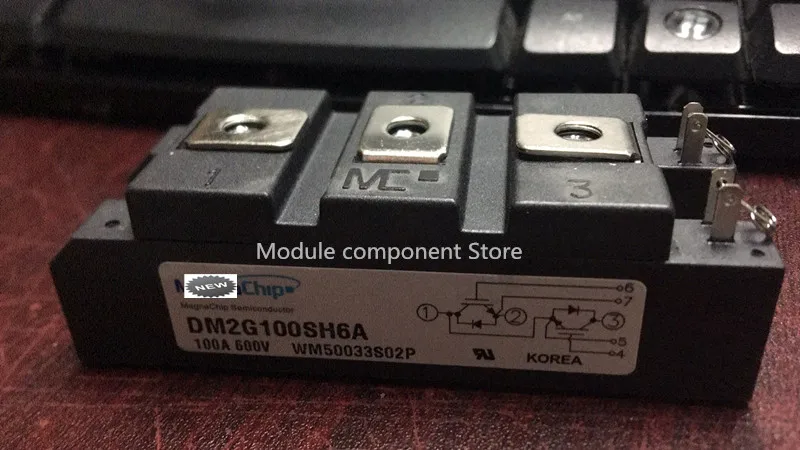 DM2G100SH6N DM2G100SH6A DGM100D06FV1 DGM100D06ZV1 DGM50D06ZV1|Производство электроэнергии| |
