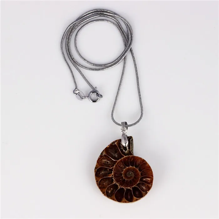 Аммонит Ископаемых Камень Инкрустация Кулон Neckalces Цепи Змейки Исцеление Чакра