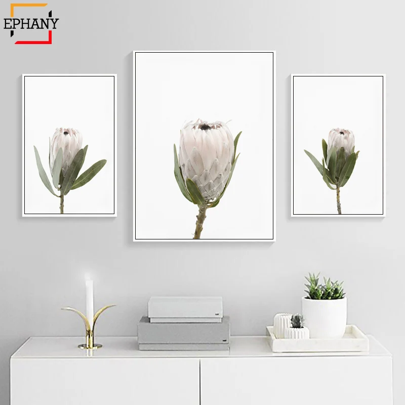 Protea с принтом растительный настенный Декор для дома цветы холст картина