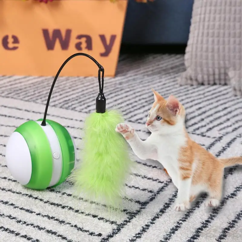 Cat Toy Classic Colors and Simple Durable Design Electric Ball Laser Light Feather Stick Interactive Teasing Pet Supplies | Дом и сад