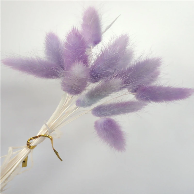 

High Quality Hot Sale Product Small Natural Dried Flower Bunny Tails Grass 30PCS Bunch Bouquet Lagurus Ovatus For Wedding Decor