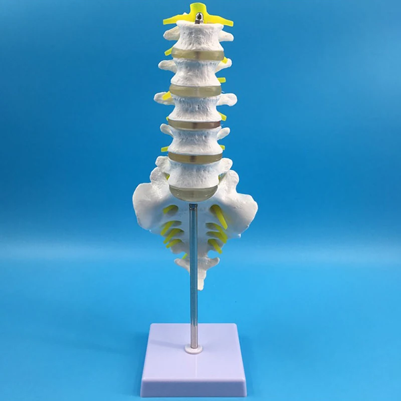 

Educational Equipment & Supplies