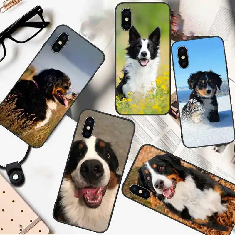 

Bernese Mountain Dog Phone Case For iphone 12 11 13 7 8 6 s plus x xs xr pro max mini
