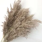 Длина 4 смЦветочные уши 15  30 см, 6 шт. настоящие сушеные натуральные пампасы трава тростника, сухие нефрагмиты, маленький букет букетов, домашний декор