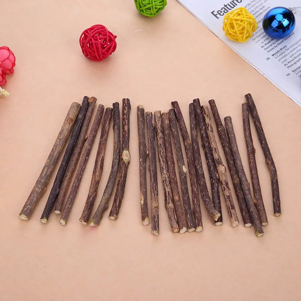 

15/20pcsNatural Catnip Stick Natural Fruit Matatabi Cat Snacks Stick Catnip Pet Cat Molar Rod Cat Snacks Sticks Pet Cat Cleaning