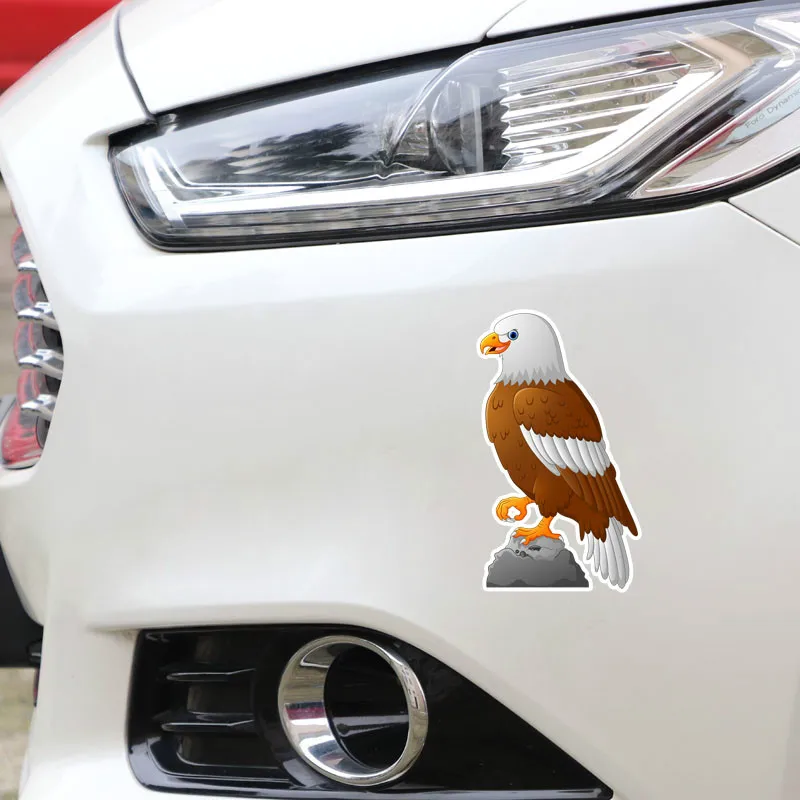 EBdecal крутой прекрасный орлы Декор цветной для Авто/бампер/окно/настенные