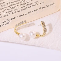 lolita jewelry niche pearl female autumn and winter temperament new trendy earrings