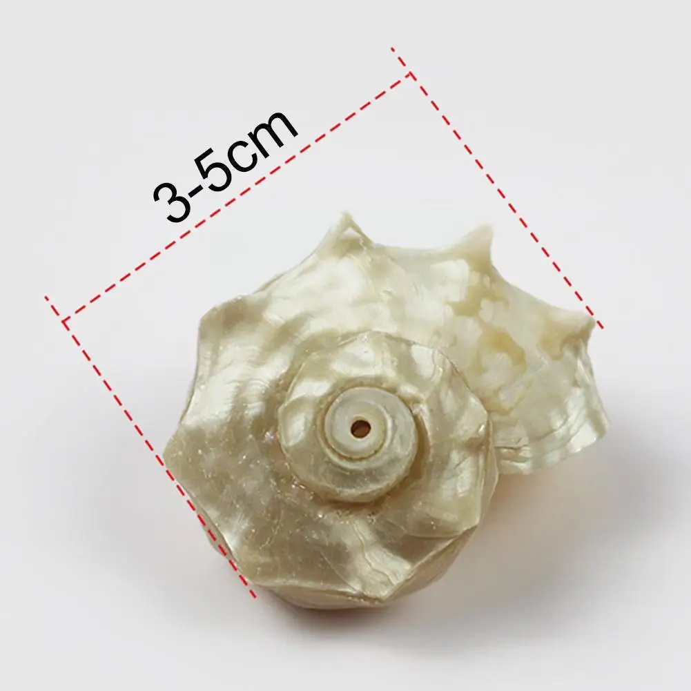 Натуральная ракушка Серебряный рот сменная краба коллекция образцов рыбного