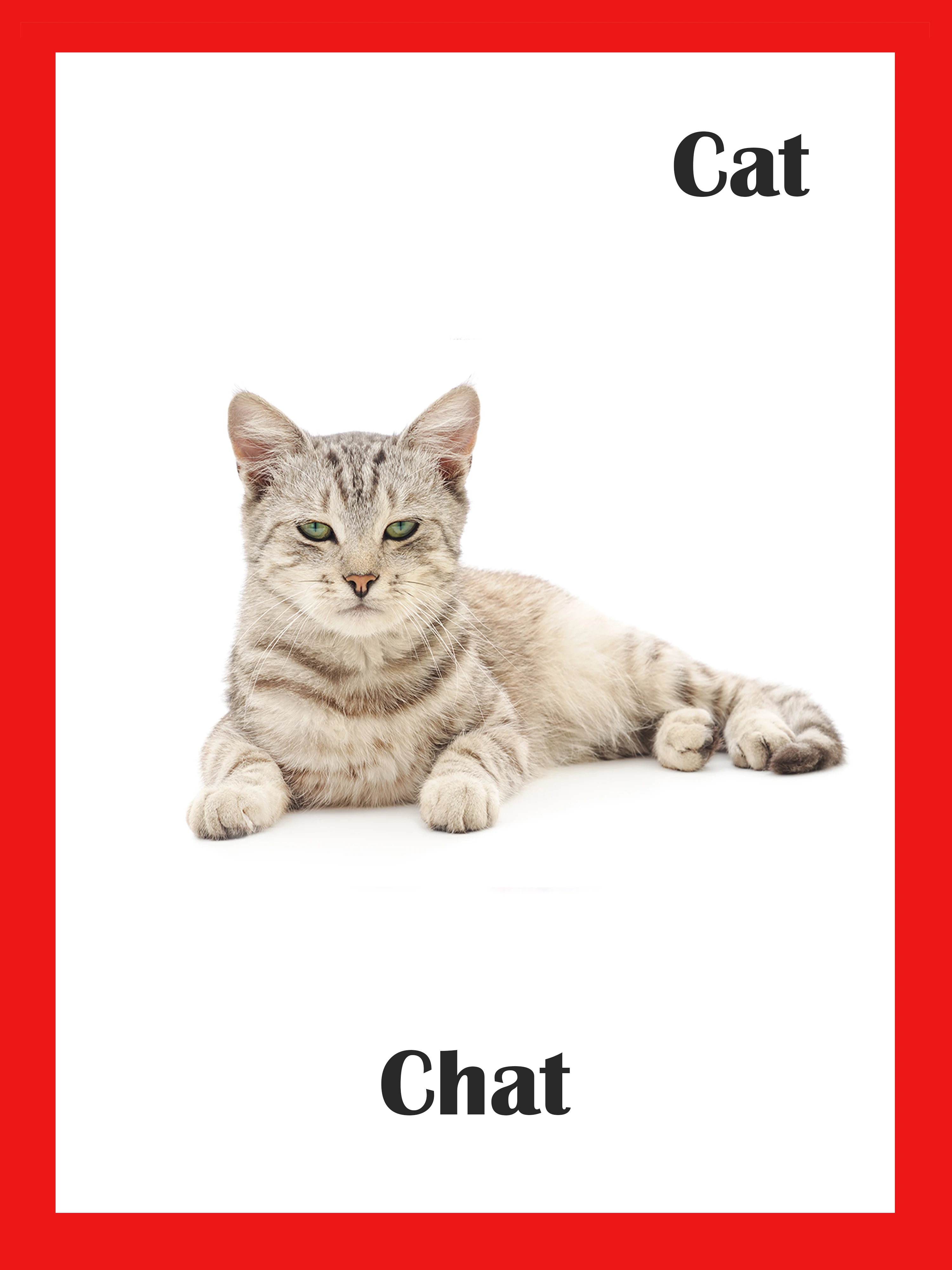 85 шт. детские развивающие карты Монтессори с французскими