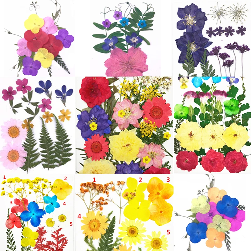 Маленькие сушеные цветы прессованные самодельные декоративные для дома мини