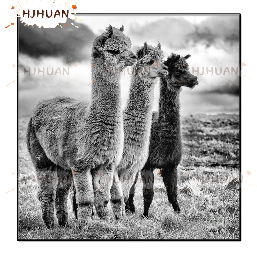 

DIY Black and white animal art, alpaca Diamond Painting Full Square Diamond Embroidery Cross Stitch Mosaic Home Decor Gift