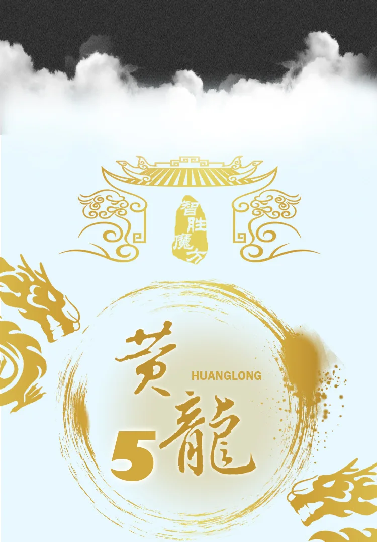 YuXin HuangLong 5x5 Магнитный магический куб Твист Головоломка Cubo magico 63 мм новая упаковка развивающие игрушки