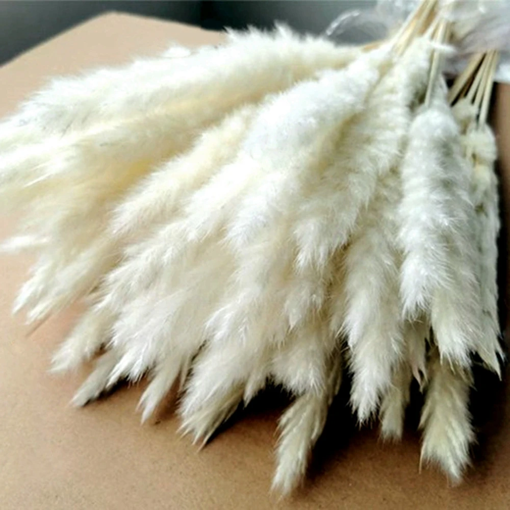 

15 Pcs Real Dried Pampas Grass Decor Boho Natural Artificial Plants Bouquet Decoration for Home Wedding Party Accessories