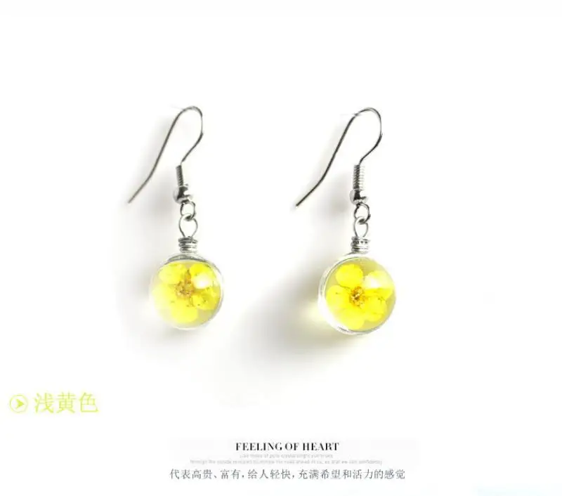 Модные Подвесные серьги из прозрачного стекла Круглые ручной работы сушеные