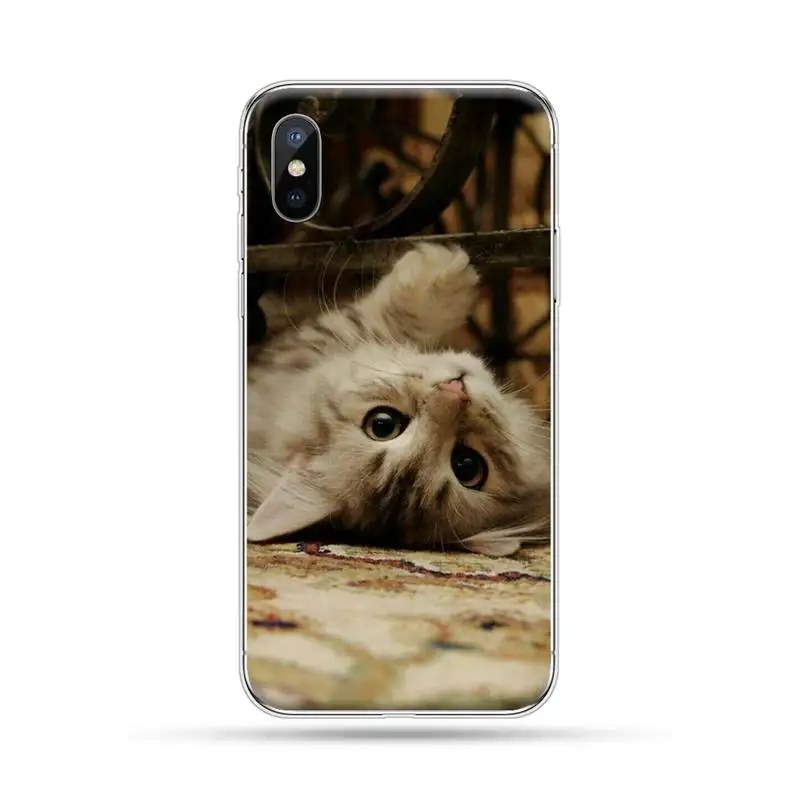 

Cute cat animal pet high quality Phone Case For iphone 12 mini 5 5s 5c se 6 6s 7 8 plus x xs xr 11 pro max