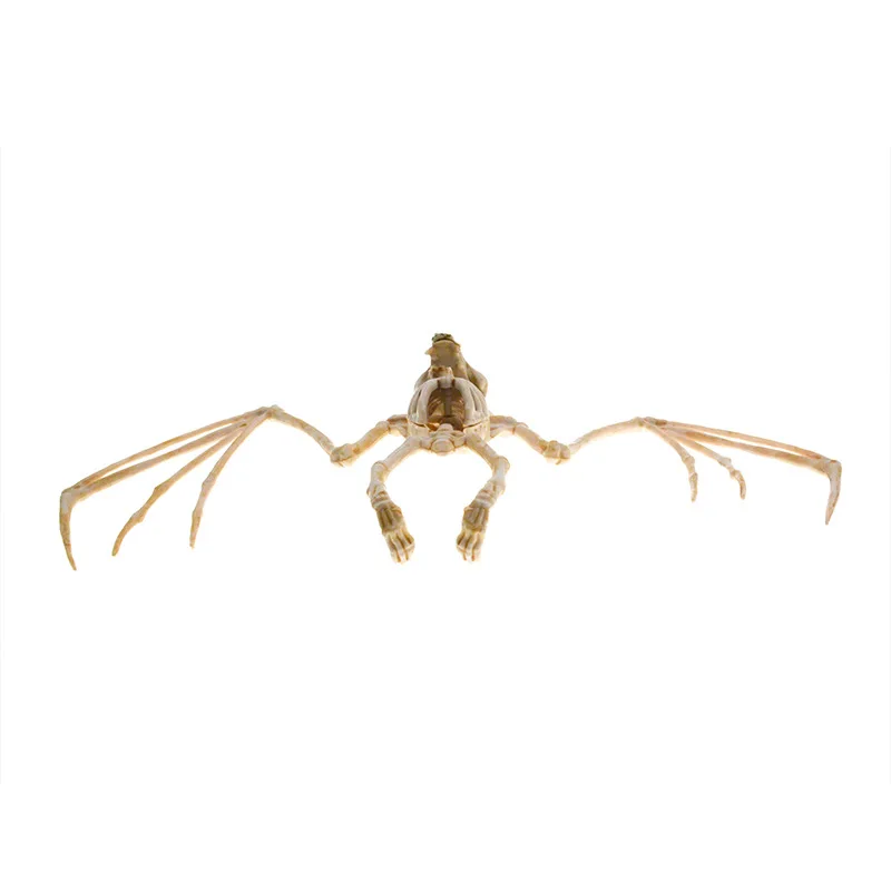 

Plastic Artificial Bat Skeleton Halloween Horror Haunted House Decorations for Home Animal Skull Figurines Terror Party Prop