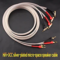 GREY KNIGHT HIFI Micro Space OCC Silver Plated Gun Type Plug Speaker Cable Audio Amplifier Connection Cable Banana Plug-Y Plug