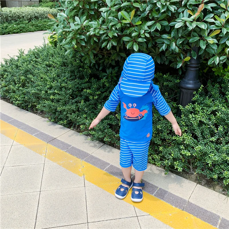 Children's Bathing Suit Separate Cartoon Crab Print 3pcs Boys Swimwear 2020 Summer New UV 50 Protection Swimming for Boy |
