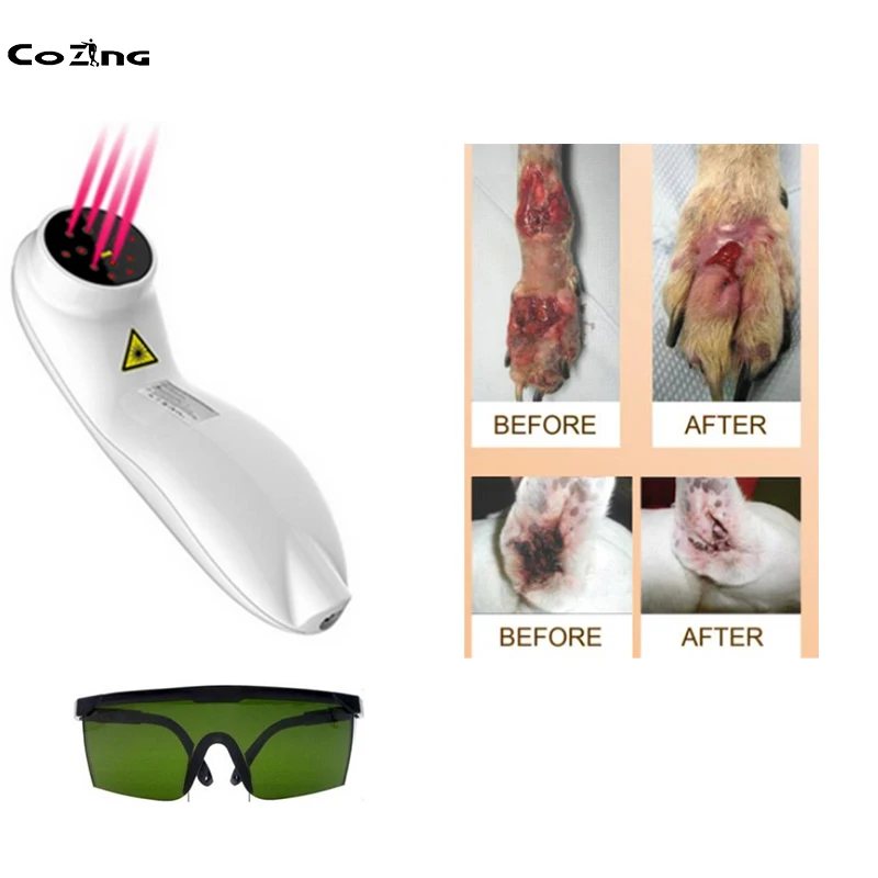 

Veterinary Laser Therapy Certification Cold Laser Therapy Device For Human Animal Sprain Anti-Inflammatory Treatment
