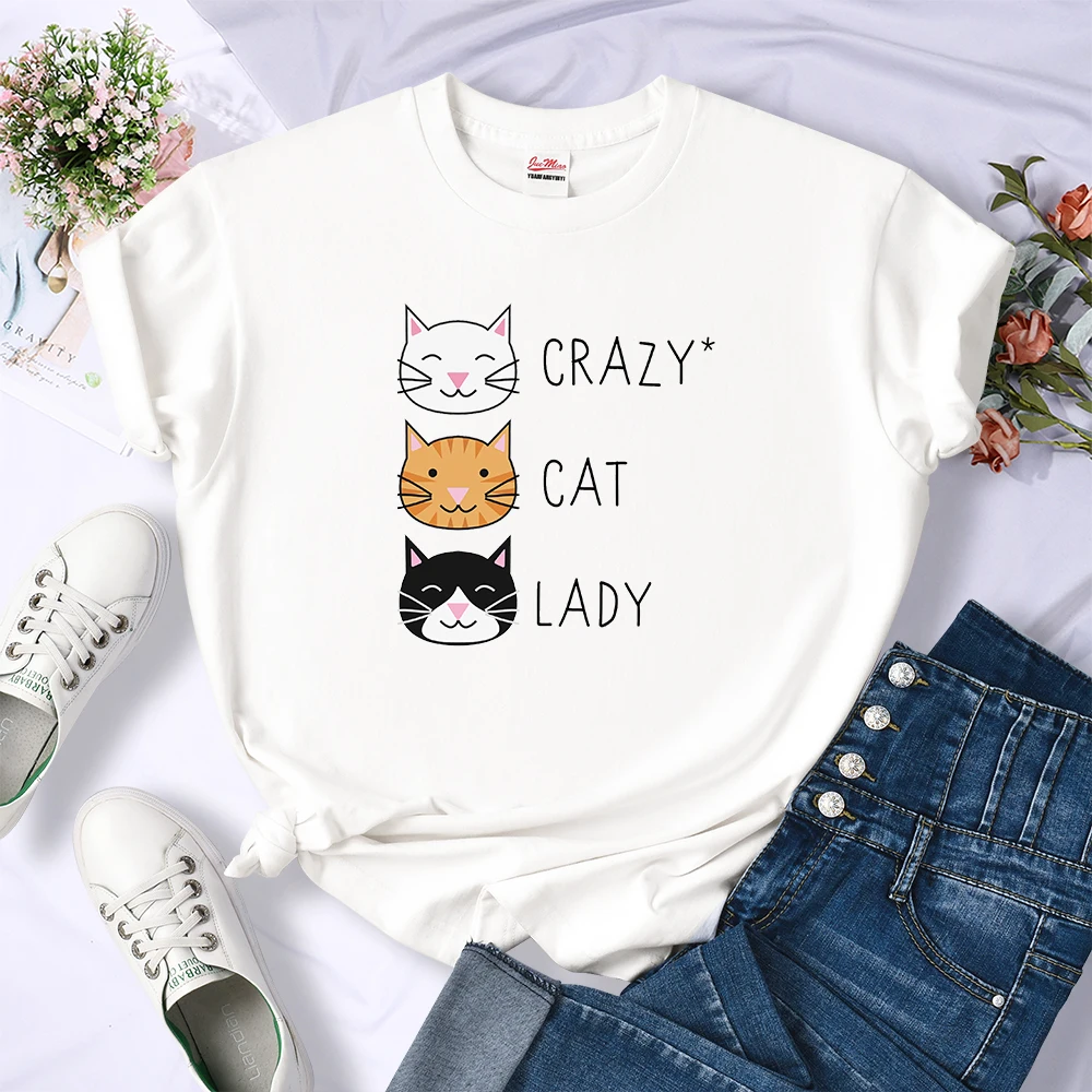 Loose Casual Crazy Cat Lady Cute Hip Hop T Shirts Women Fashion Sweat Clothing Summer Tops New Crewneck Womens T-Shirts | Женская одежда