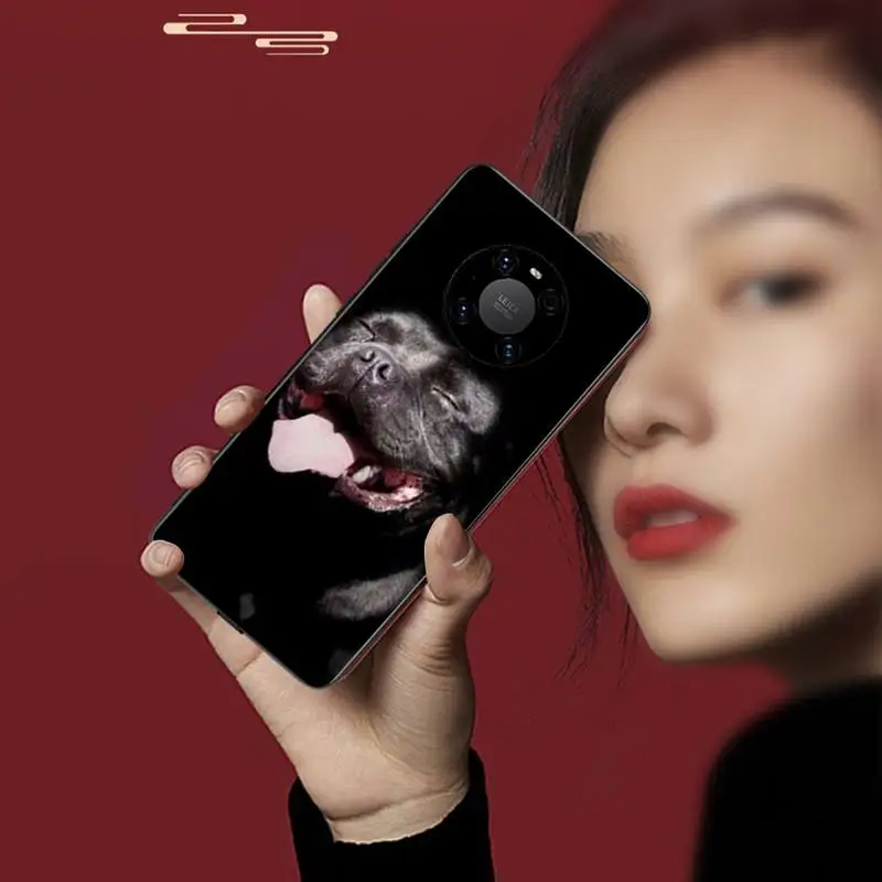 

0 Pit Bull Lovely Pet Dog Pitbull Phone Case For huawei p20 30 40 pro mate 20x 30 40 pro nova6 7 honor 9X 10