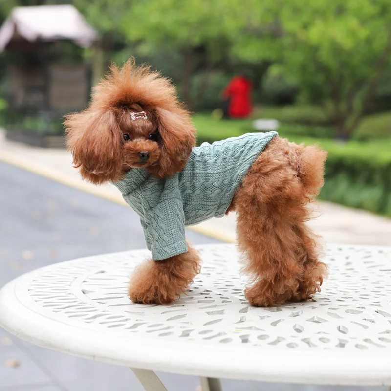 Одежда с принтом в виде собак для больших маленьких и кошек Костюмы собака пальто