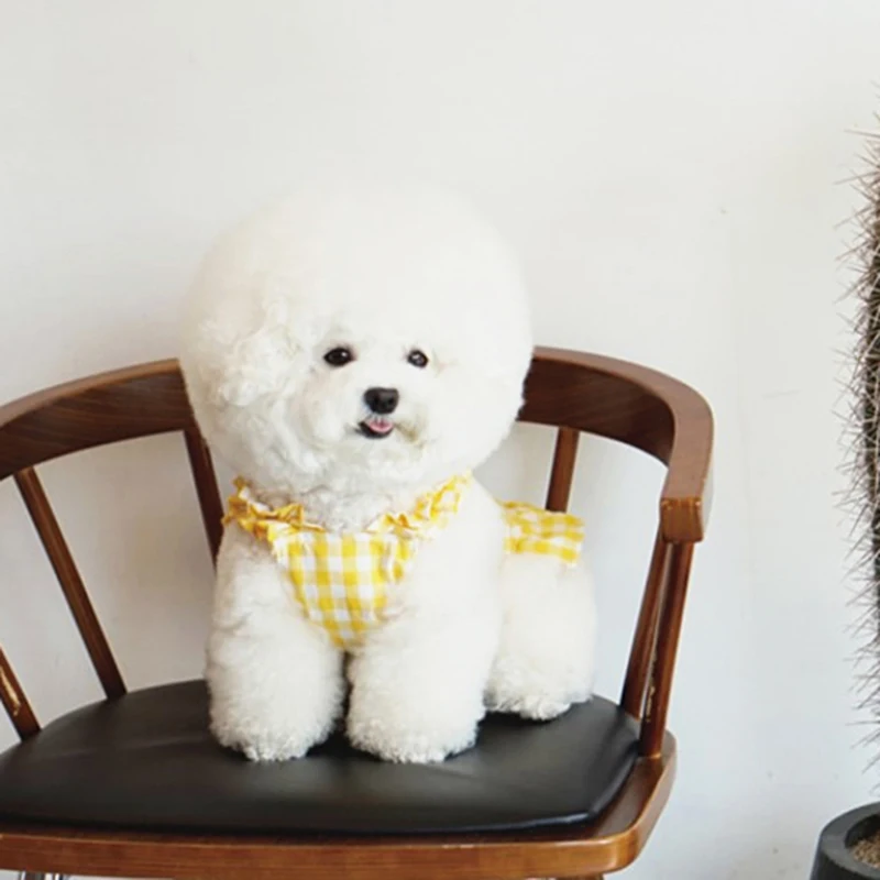 Yellow Skirt for Dogs Poodle Dress Summer Clothes Puppy Breathable Sun Protection Clothing Pets Fashion Pet Products |