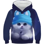 Осень-зима, модные 3D толстовки с капюшоном для мальчиков и девочек, детские толстовки с капюшоном с изображением милой кошки, панды, галактики, космоса, пуловеры для детей