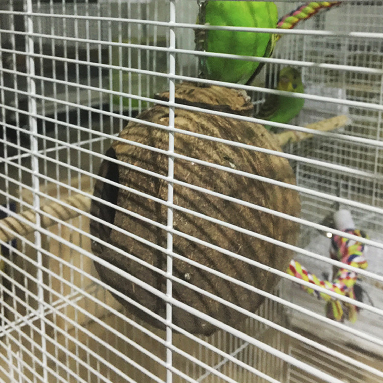 Кокосовая птичья хижина с открывающимся птичьим домиком для маленьких и средних