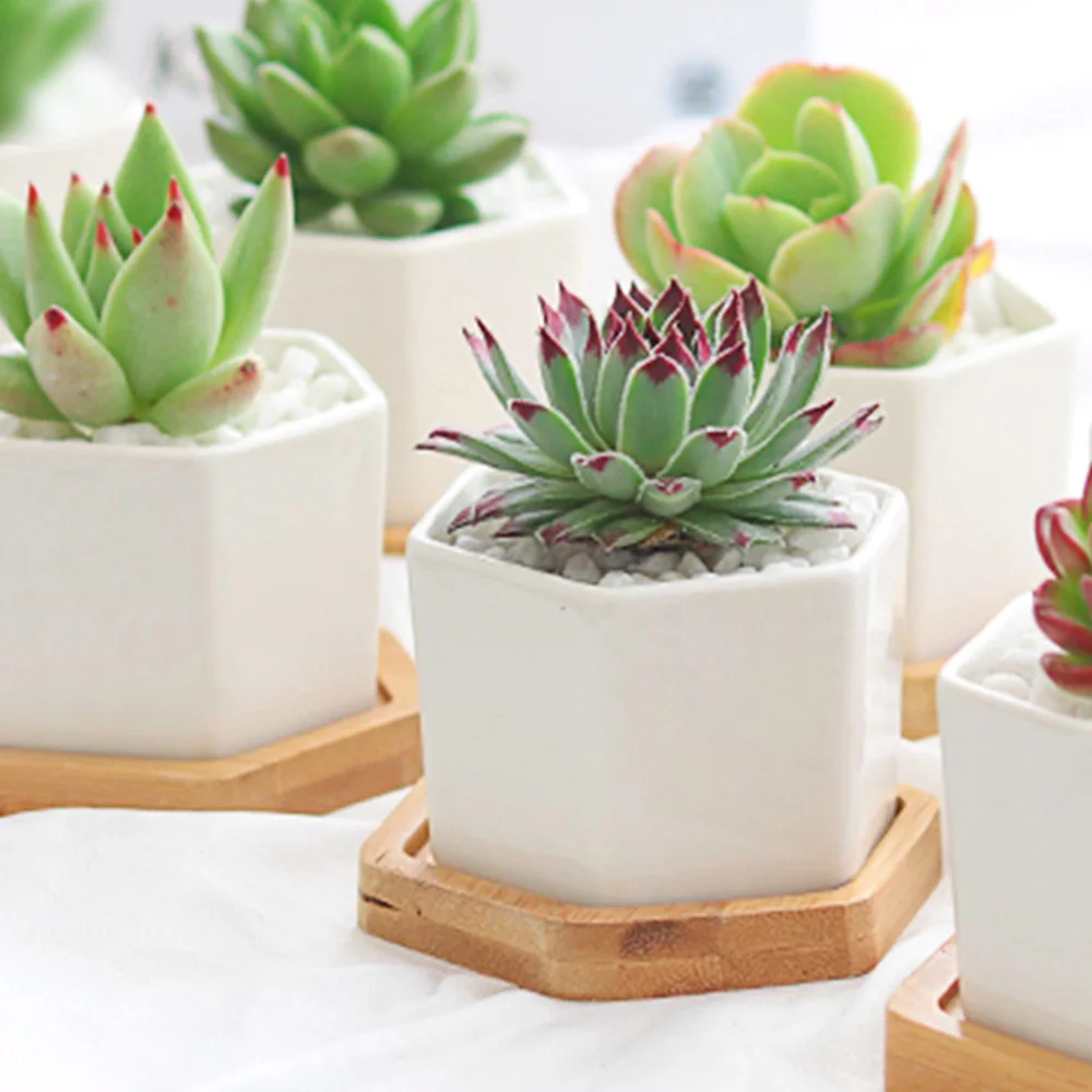 

24 Pcs Wear-resistant Bonsai Pots Brush Pots Pen Containers with Trays (White)