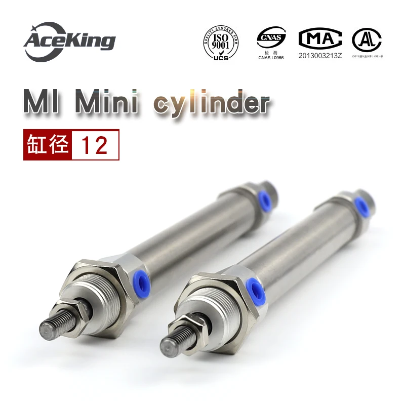 

MI12 × 25/50/75/100/125/150-sca-u-cm мини-цилиндр из нержавеющей стали MIC16 с буферной флюоресцентной лампой