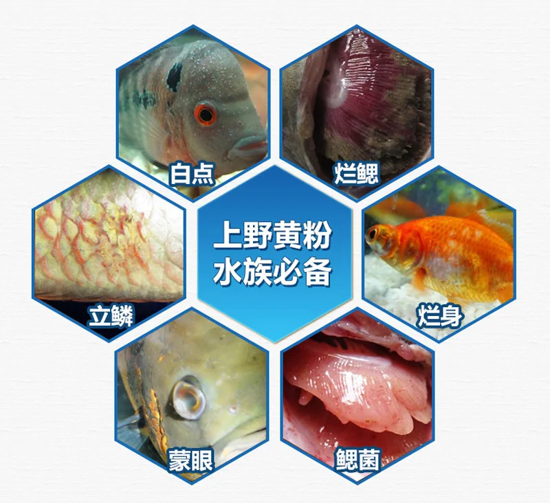 Япония желтый порошок аквариум для тропических рыбок болезнь сердца болезни