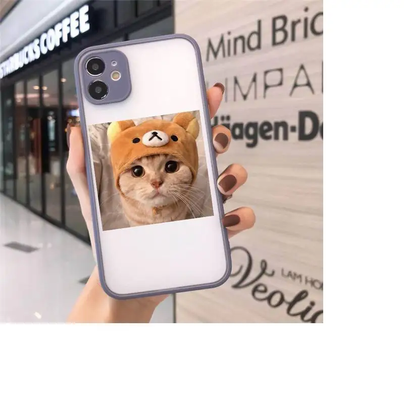 

Cute Cat Phone Case Matte For iPhone 12 Mini 11 Pro XR XS Max 7 8 Plus X Hard PC Back Cover