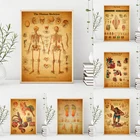 Живопись на холсте с анатомии человека, винтажные постеры для врачей, украшение для офиса, каркас, анатомическая структура тела, настенное искусство