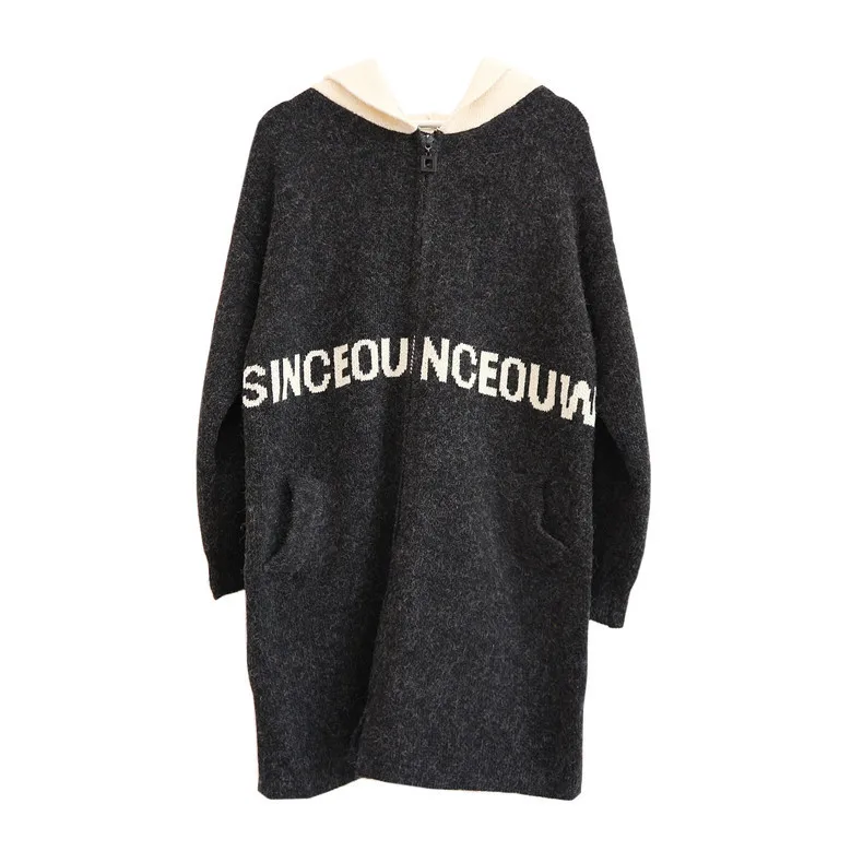 Autumn Hooded Jacket Female Sweater 2019 Long Sleeve Loose Cardigan Women Casual Pocket Zipper Knit Outwear |