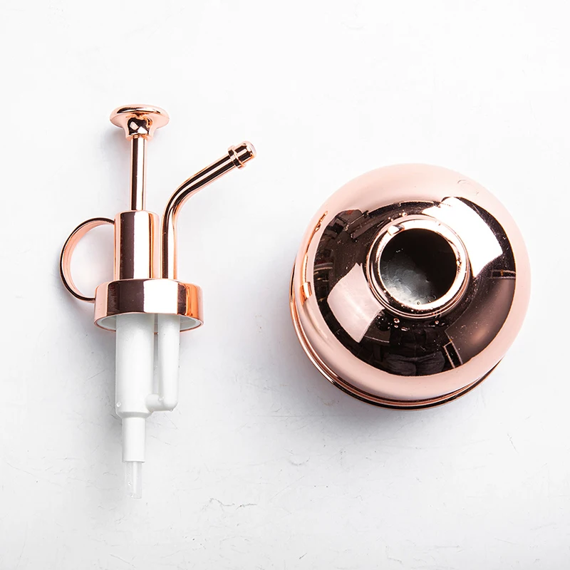 

Stainless Steel Fleshy Watering Spray Bottle Garden Indoor Retro Flower Sprayer