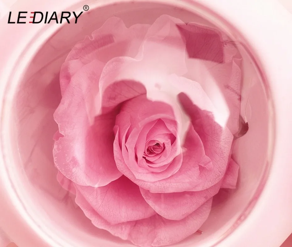 Ночсветильник LEDIARY в виде животного астронавта кошки медведя украшения