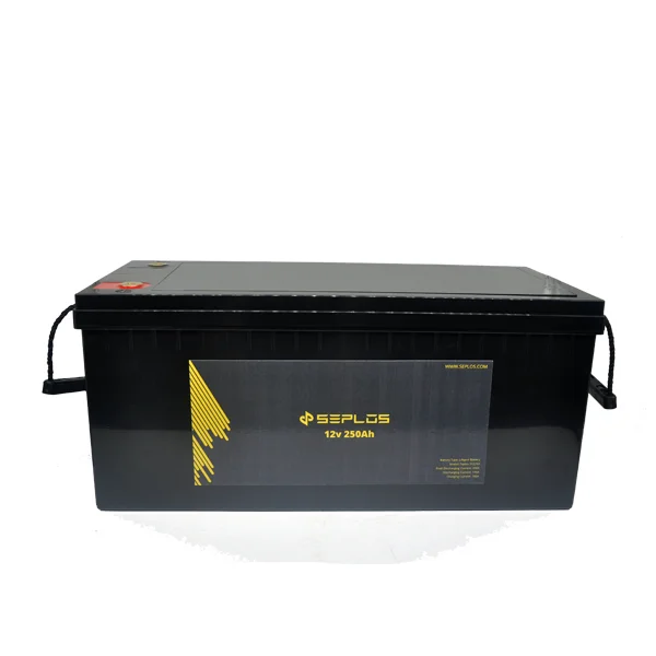 

China supplier long cycle life Seplos 48v 250ah solar battery 484*230*220mm
