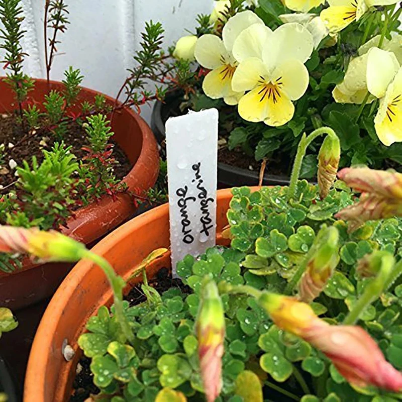 100pcs Garden Plant Labels PVC Tags Nursery Markers Flower Pots Seedling Tray Mark Tools Pot Waterproof 5x1cm | Дом и сад