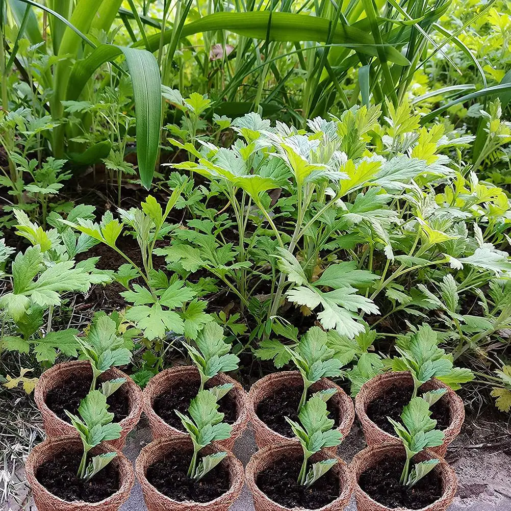 

30PCS Coconut Seed Starter Pots Seed Germination Biodegradable Nursery Pots For Home Gardening Tool Garden Accessories